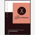 C DU CHEVEUX